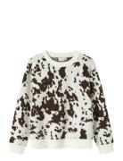 Nkforkide Ls Knit Box Tops Knitwear Pullovers Brown Name It