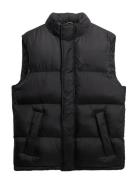 Tech Padded Gilet Liivi Black Superdry