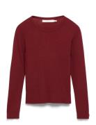 Leenahiw Ls Blouse Tops Blouses Long-sleeved Burgundy InWear