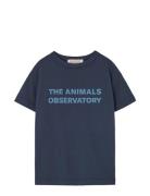 Navy Orion T-Shirt Tops T-shirts Short-sleeved Navy THE ANIMALS OBSERV...