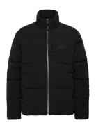 Wbdapper Puff Jacket Vuorillinen Takki Topattu Takki Black Woodbird