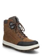 Tedd Nauhalliset Talvikengät Brown Superfit