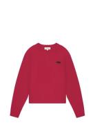 Jetta Pullover Tops Knitwear Jumpers Red Fabienne Chapot