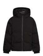 Jjkaito Puffer Jacket Mni Toppatakki Black Jack & J S