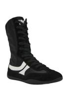 Paxtin Korkeavartiset Tennarit Black Steve Madden