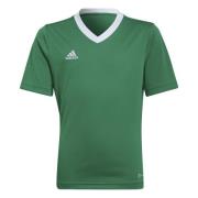 adidas Treenipaita Entrada 22 - Vihreä/Valkoinen Lapset