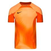 Nike Maalivahdin paita Dri-FIT ADV Gardien IV - Oranssi/Musta
