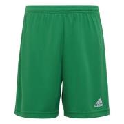 adidas Shortsit Entrada 22 - Vihreä/Valkoinen Lapset